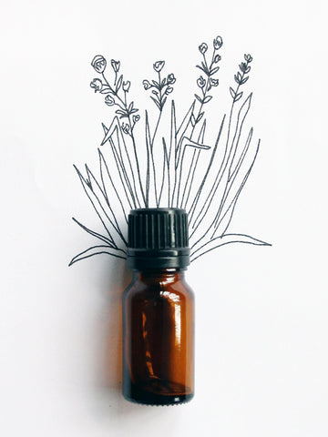 Citronella Essential Oil