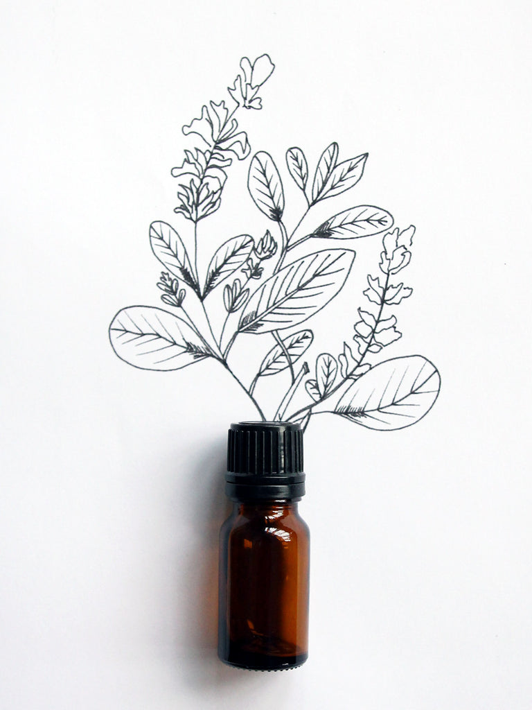 Clary Sage Essential Oil