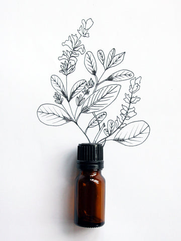 Clary Sage Essential Oil