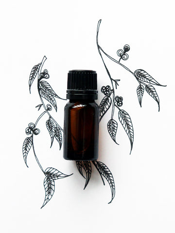 Eucalyptus Essential Oil