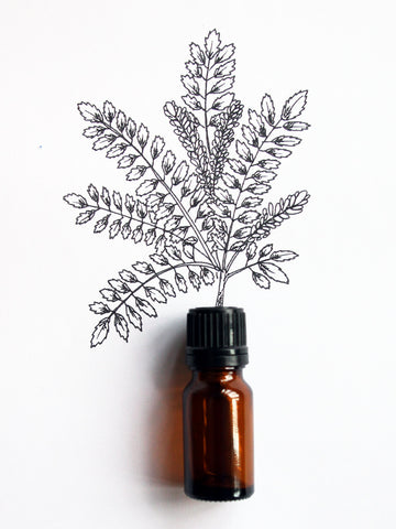 Frankincense Essential Oil