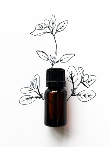 Marjoram Essential Oil