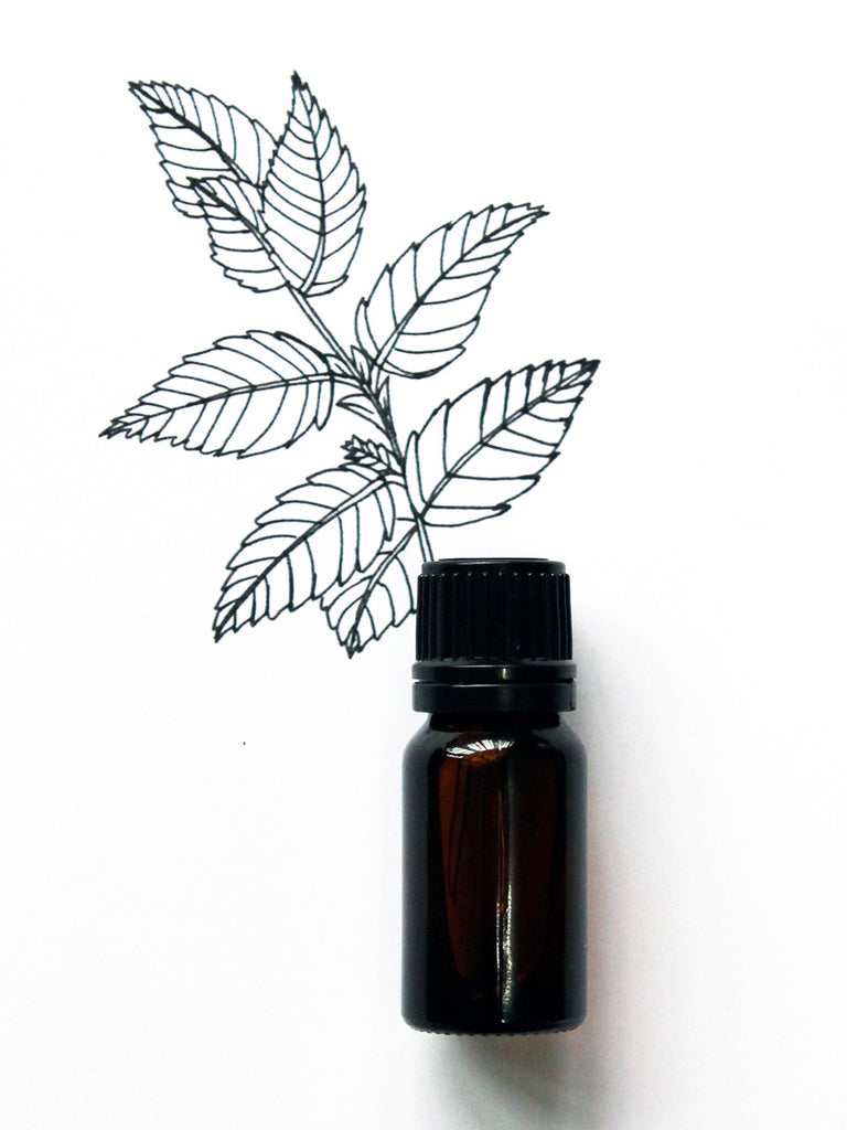 Peppermint Essential Oil