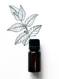 Peppermint Essential Oil